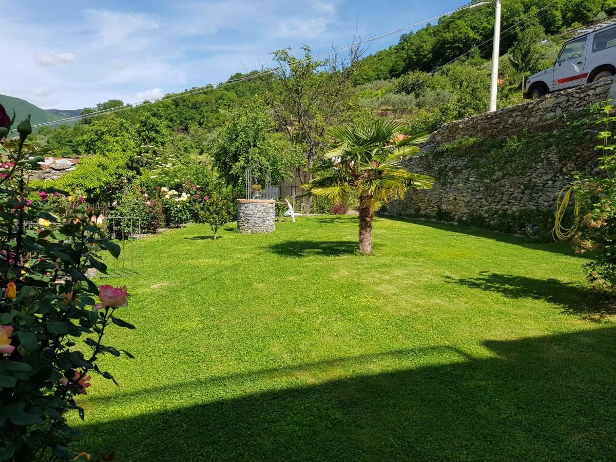 Green House Pieve di Teco المظهر الخارجي الصورة